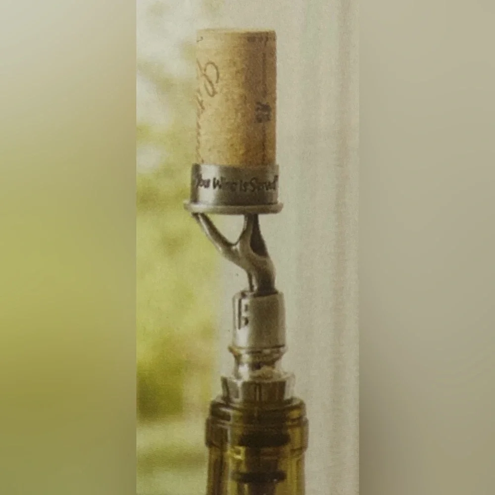 🚨Sale🚨 NWT Pier 1 Silver Bottle Wine Stopper